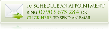 Contact Susy and Schedule An Appointment